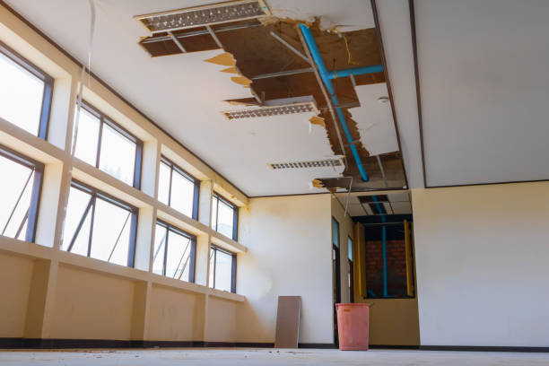 Best Water damage contractors near me  in Wadesboro, NC