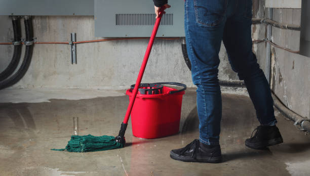 Best Flood damage cleanup  in Wadesboro, NC