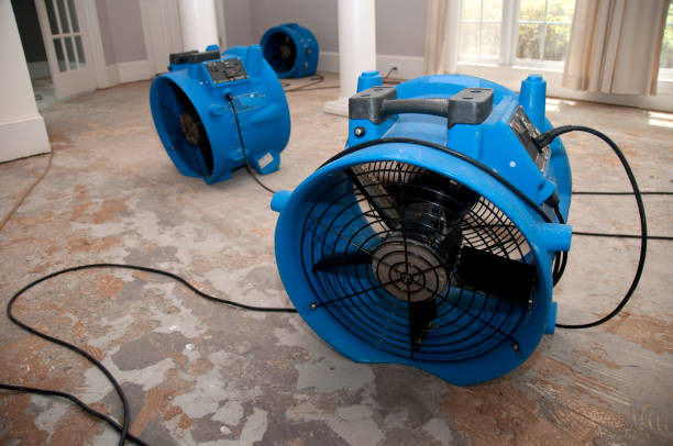 Best Sewage cleanup and water damage restoration  in Wadesboro, NC