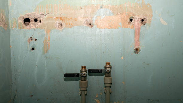 Best Flood restoration services  in Wadesboro, NC